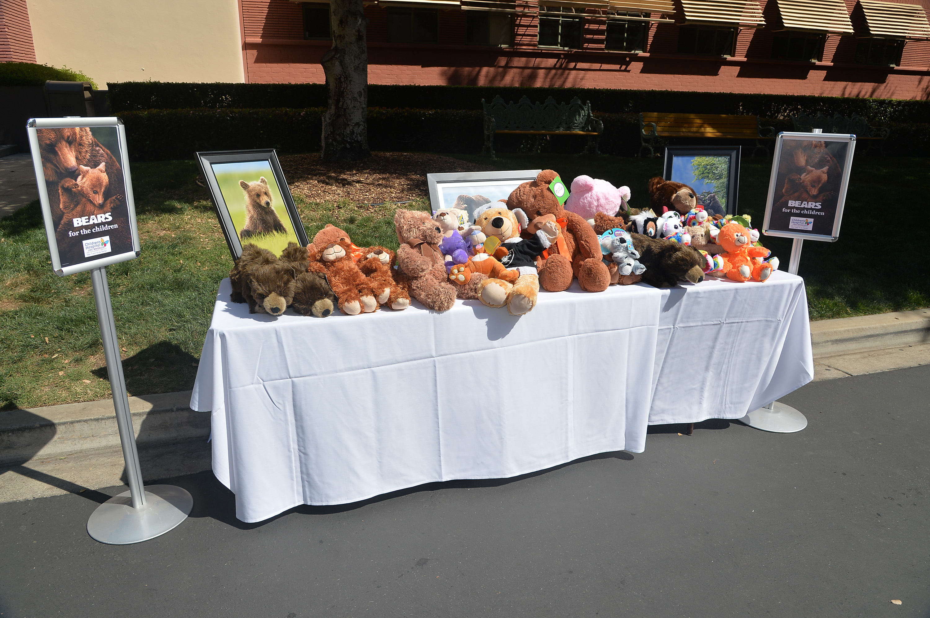 Disneynature Bears Special Screening At The Walt Disney Studios Main 