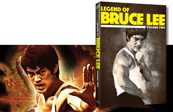the legend of bruce lee 2010