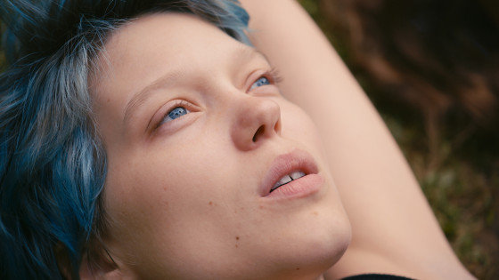 Graphic Novel Blue Is The Warmest Color Graphic Novel Blue Is The Warmest Color