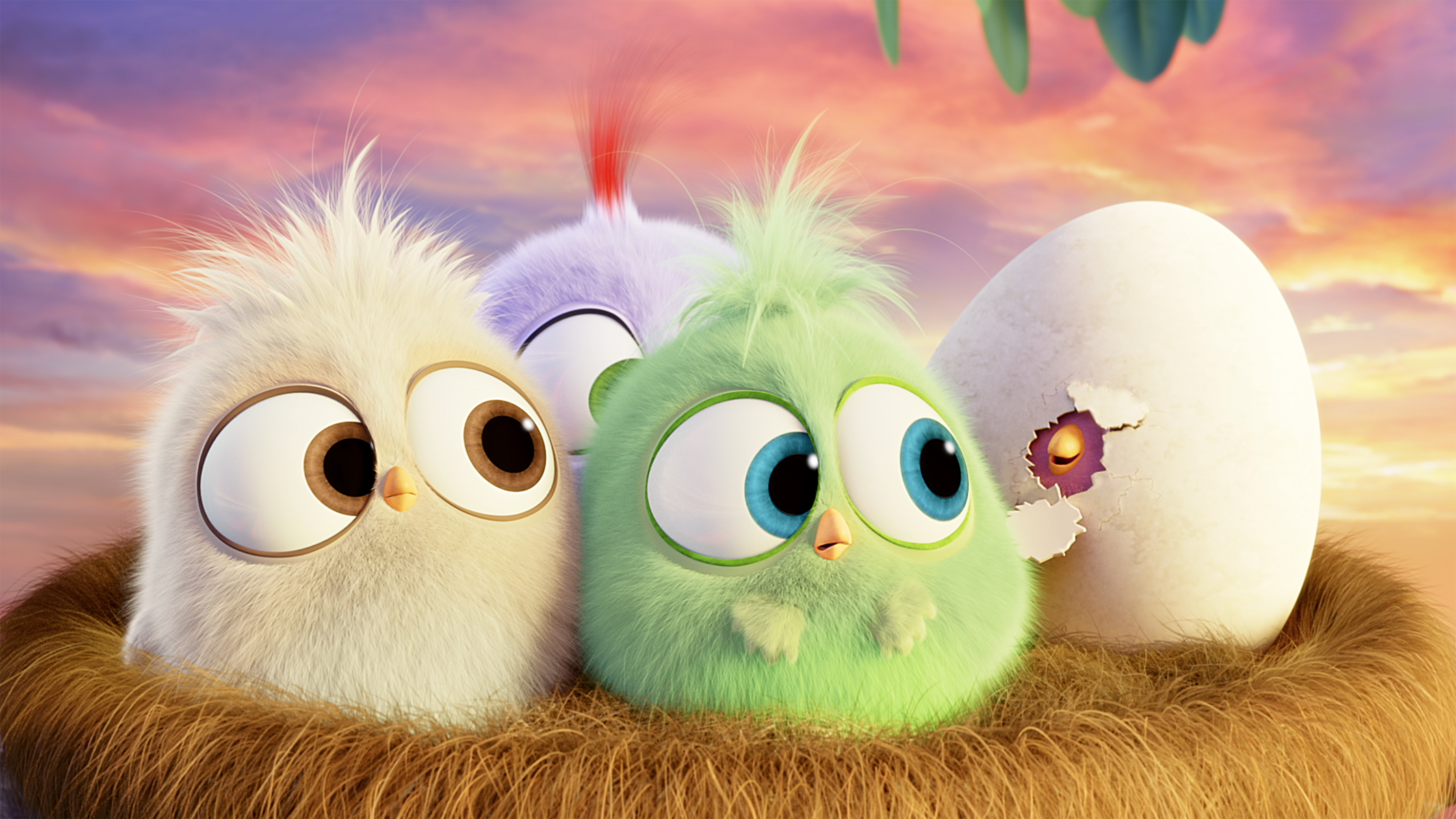 The Adorable Hatchlings From The Angry Birds Movie Wish You A Happy Mother S Day We Are Movie Geeks
