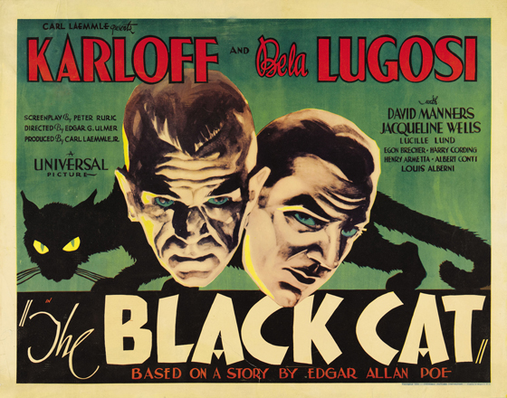 blackcat-header1