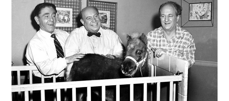 joe besser the st louis stooge st louis