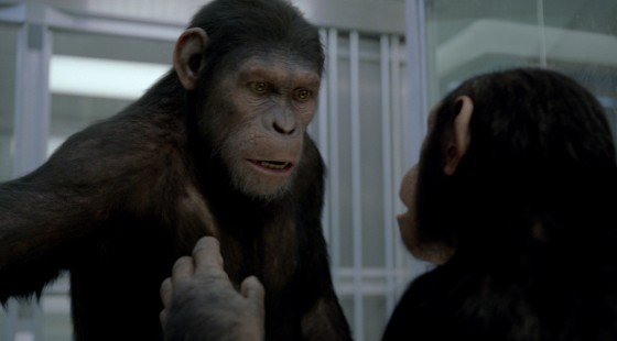 rise-of-the-planet-of-the-apes-LE194_105_v165_0074_rgb