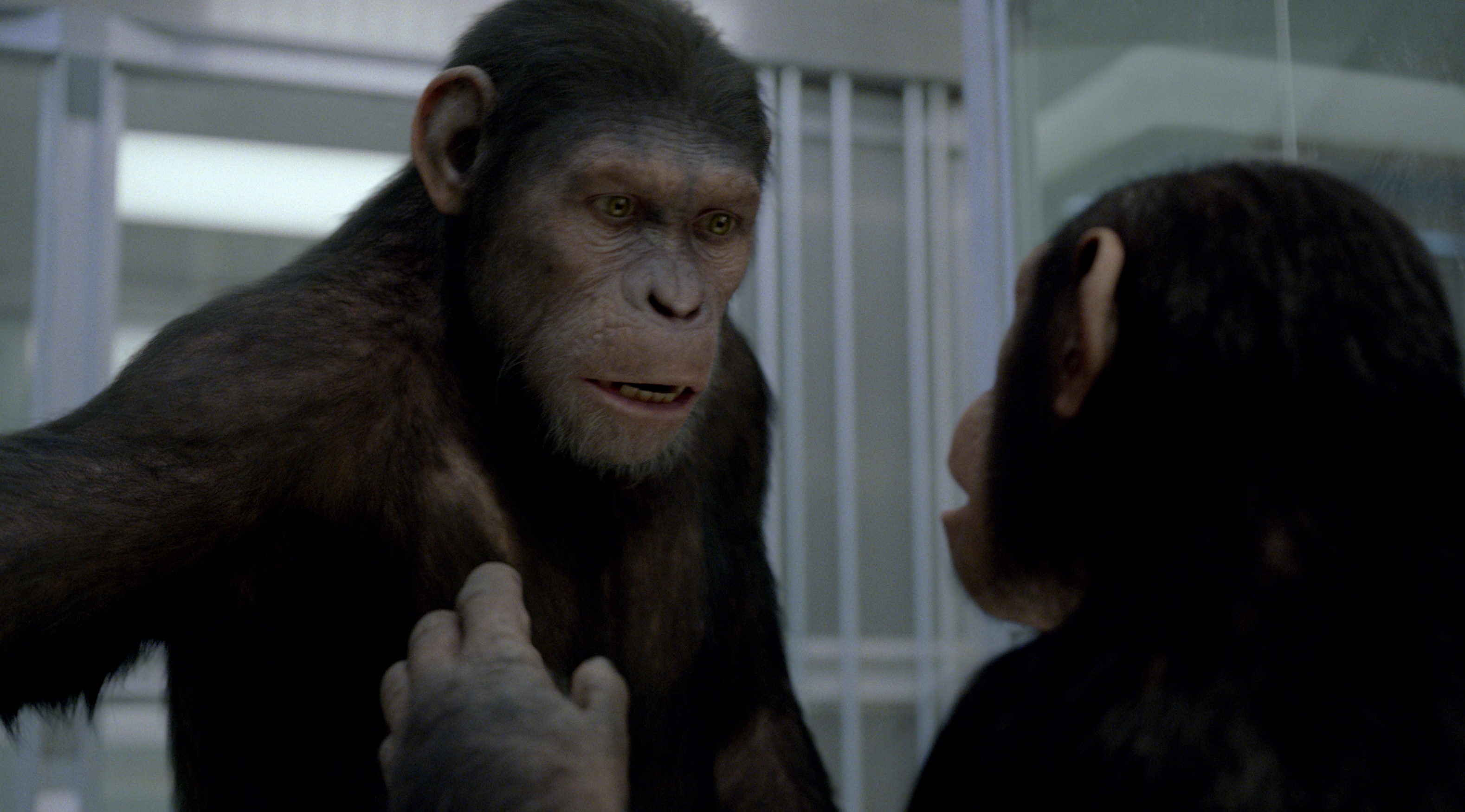 cast of rise of the planet of the apes cast of rise of the planet of the apes