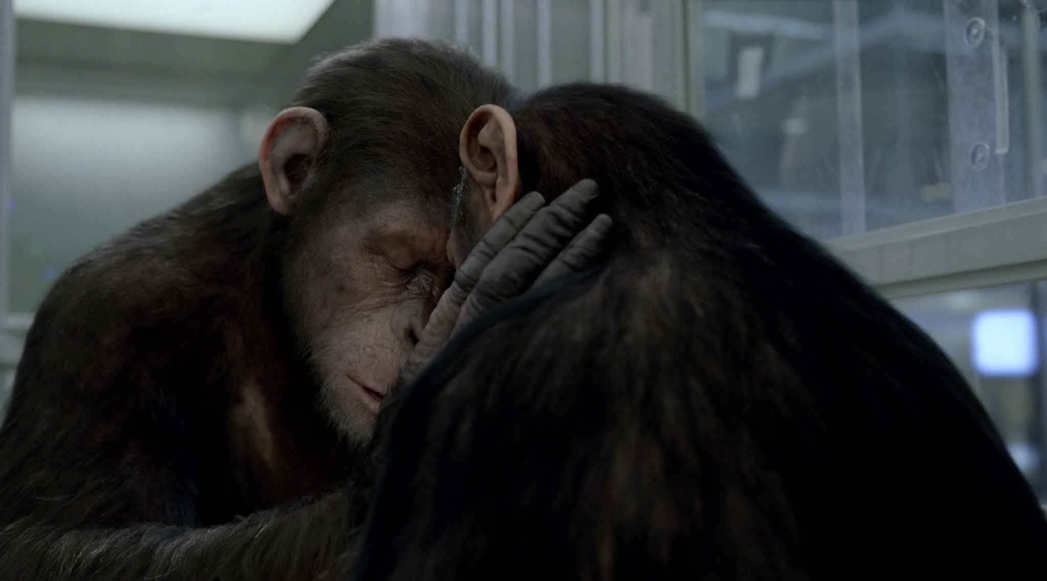 rise of the planet of the apes tom felton rise of the planet of the apes tom felton